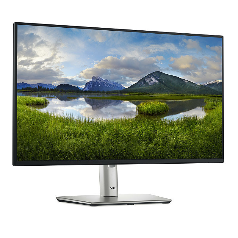 DELL Pro Plus P2425H computer monitor - Billede 3