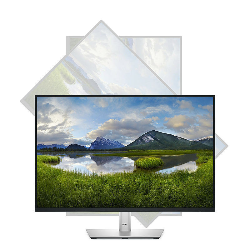 DELL Pro Plus P2425 computer monitor - Billede 11