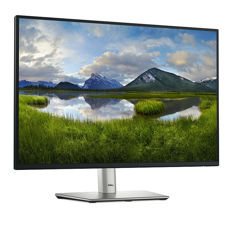 DELL Pro Plus P2425 computer monitor - Billede 3