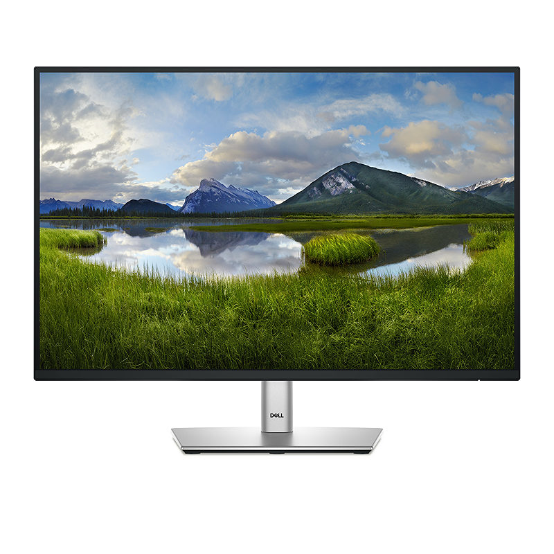 DELL Pro Plus P2425E computer monitor