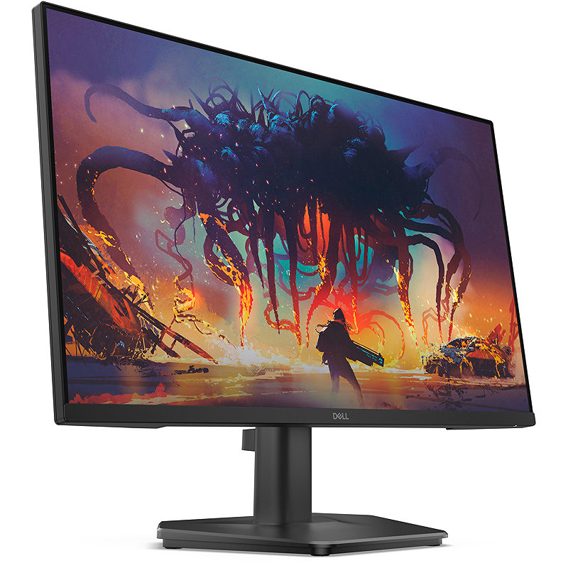 DELL SE2425HG computer monitor