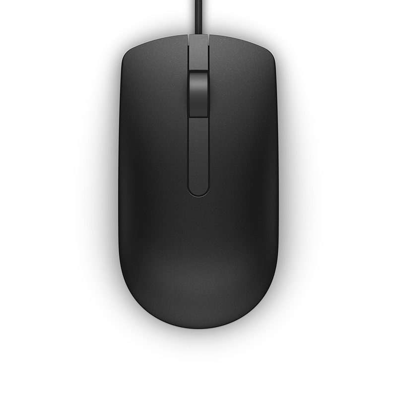 DELL MS116 mus Kontor Ambidextrous USB Type-A Optisk 1000 dpi