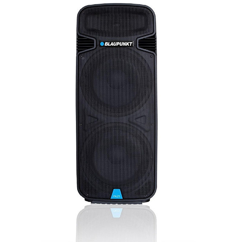 Blaupunkt Profesional System Audio PA25