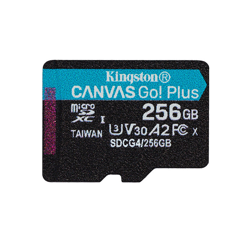 Kingston Technology Canvas Go! Plus