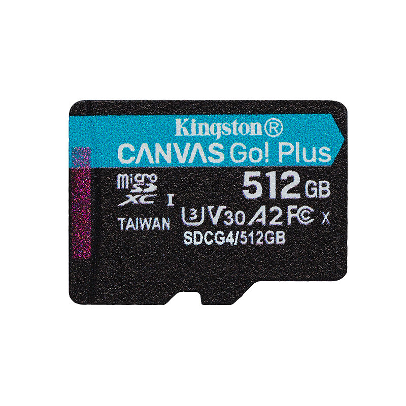 Kingston Technology Canvas Go! Plus