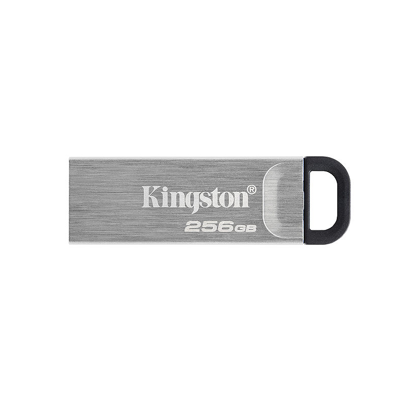 Kingston Technology DataTraveler 256 GB Kyson USB Flash-drev