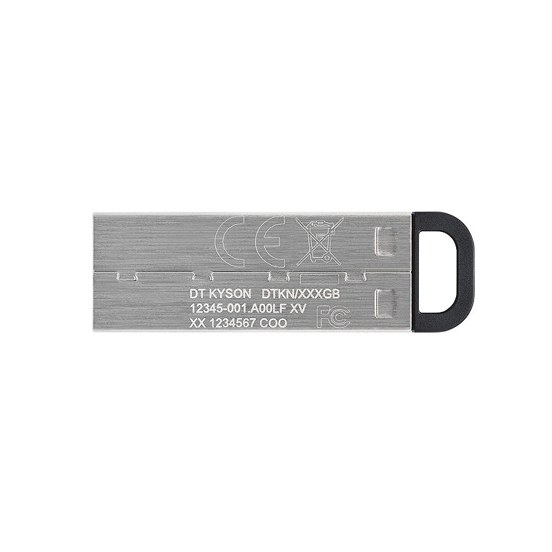 Kingston Technology DataTraveler 256 GB Kyson USB Flash-drev - Billede 2