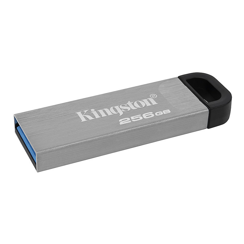 Kingston Technology DataTraveler 256 GB Kyson USB Flash-drev - Billede 3