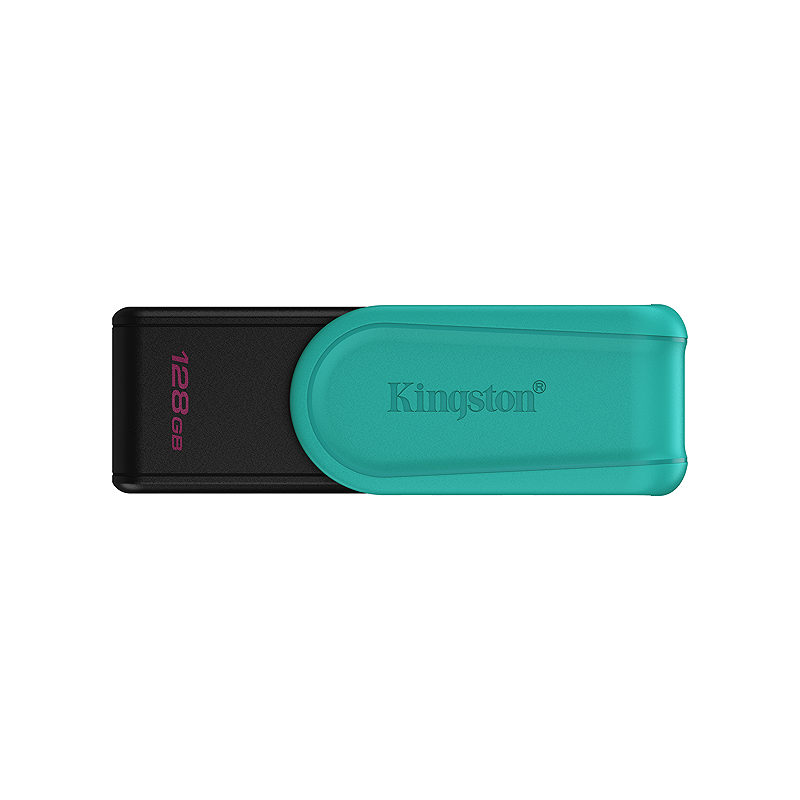 Kingston Technology DataTraveler Exodia S USB flash drive