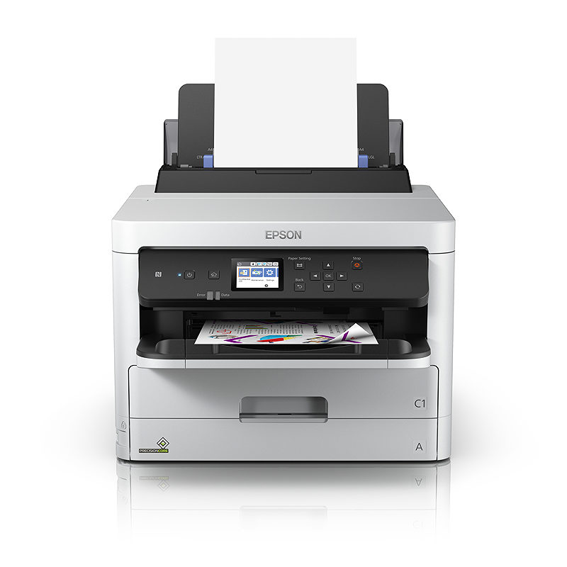 Epson T01D100 blækpatron 1 stk Original Højt (XL) udbytte Sort