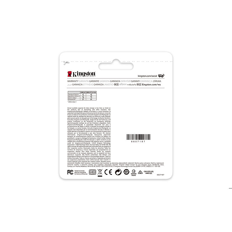 Kingston Technology DataTraveler 64 GB Kyson USB Flash-drev