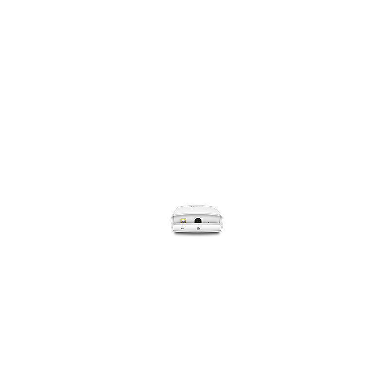 TP-Link Omada EAP110-Outdoor 300 Mbit/s Hvid Strøm over Ethernet (PoE)