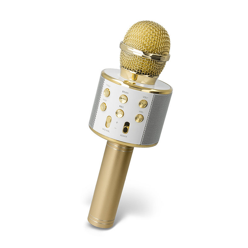 Forever Bluetooth microphone with speaker BMS-300 gold