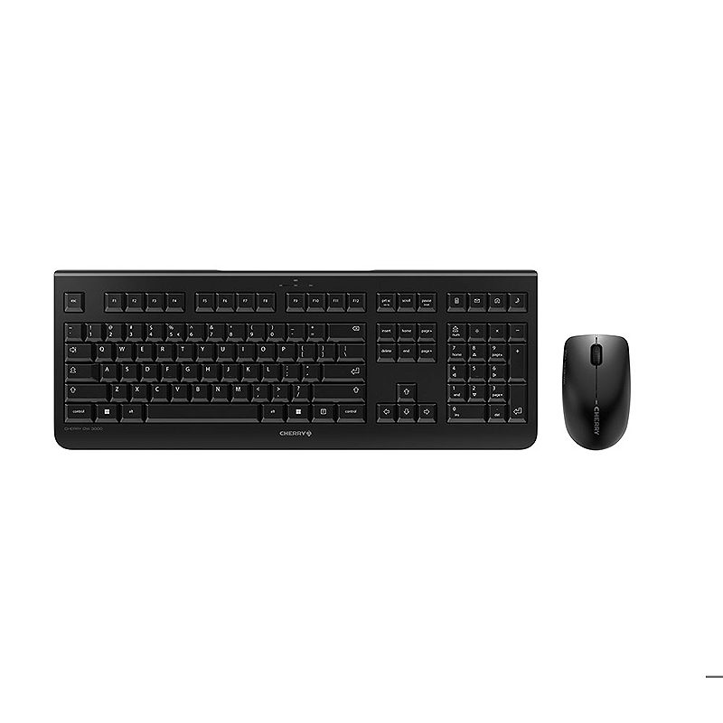 CHERRY DW 3000 keyboard