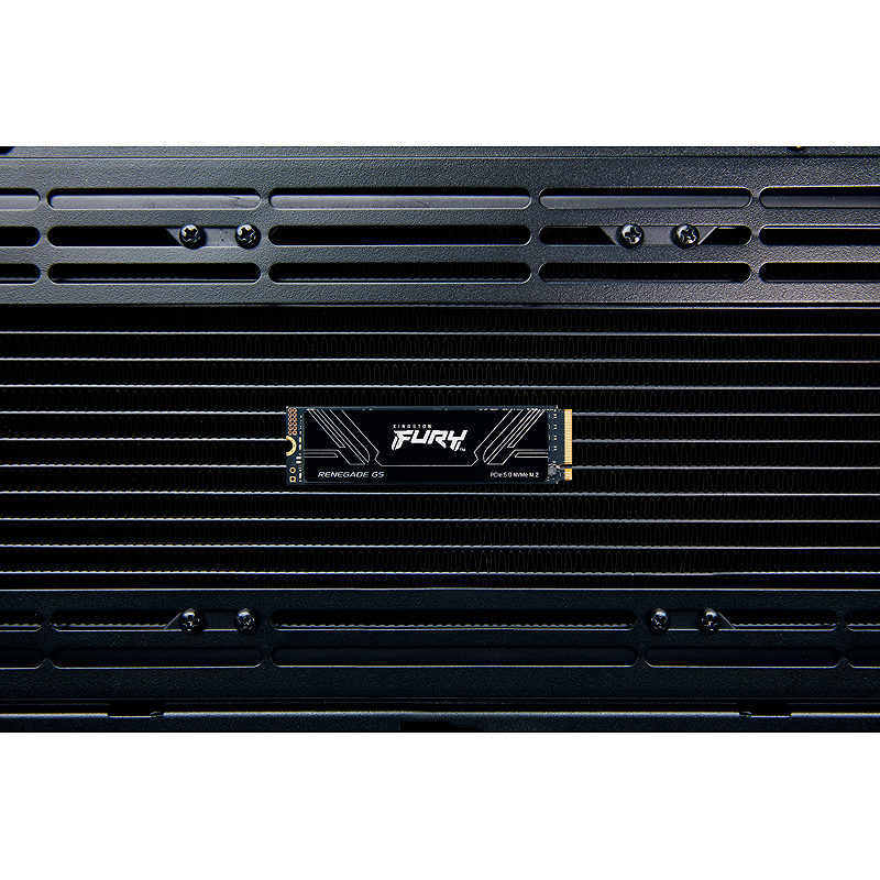 Kingston Technology 4T FURY RENEGADE G5 M.2 2280 NVMe SSD - Billede 7