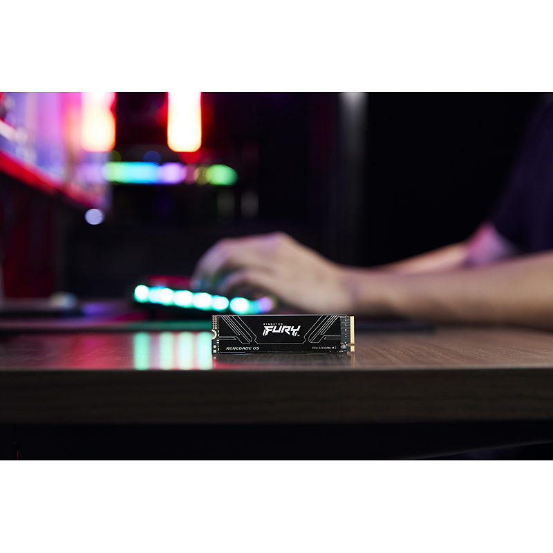Kingston Technology 4T FURY RENEGADE G5 M.2 2280 NVMe SSD - Billede 10