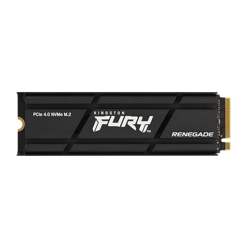 Kingston Technology 4000G RENEGADE PCIe 4.0 NVMe SSD M/HEATSINK